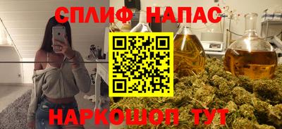 стафф Будённовск