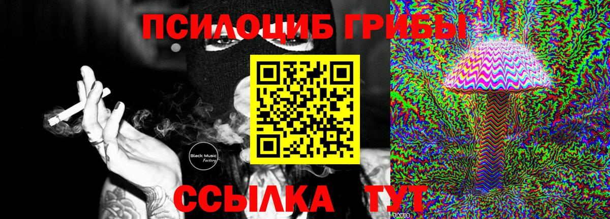 Галлюциногенные грибы MAGIC MUSHROOMS  Псилоцибиновые грибы мухоморы  Пушкино  Вход с VPN 